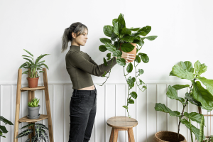 Mulher loira cultivando Plantas em apartamento