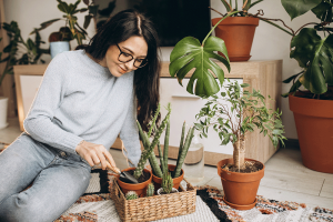 Mulher morena cultivando plantas em apartamento