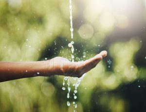 Para economizar água, você deve adotar hábitos sustentáveis e pequenas mudanças de comportamento.